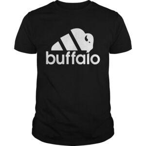 The City With Three Seasons Buffalo Shirt